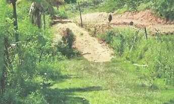 Imagem 2: São Sebastião Do Alto/RJ - Terreno Rural com 5.39.16 hectares na localidade de Santa Alda