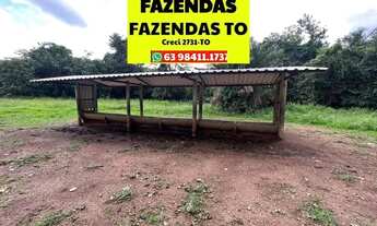 Imagem 2: Fazenda no Luzimangues poucos minutos de Palmas 51 alqueires
