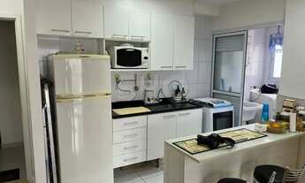 Imagem 5: Apartamento em Cambuci com 2 dormitórios