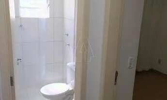 Imagem 5: Araçatuba - Apartamento - Umuarama