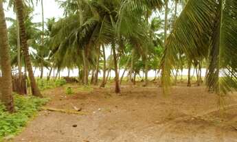 Imagem 5: O seu imóvel dos sonhos cabe em 10.550m2? Então essa é sua oportunidade de ouro