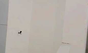 Imagem 7: Apto 1/4 kitnet com suíte Salvador (Saboeiro próx. a Av. Paralela