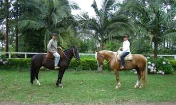 Imagem 2: Vendo chácara 5 ha em Osório