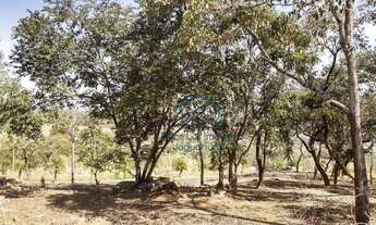 Imagem 3: Terreno à venda Duas Marias - Jaguariúna