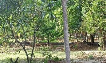 Imagem 4: Excelente Sitio a poucos metros da BR no Maracanã!