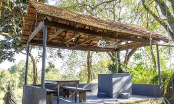 Imagem 7: Chácara alto padrão , plantação de 6 mil pés de pinos !