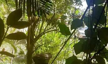 Imagem 3: Terreno com casa e edícula