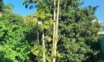 Imagem 2: Apartamento para Locação em Porto Alegre, Auxiliadora, 2 dormitórios, 2 banheiros