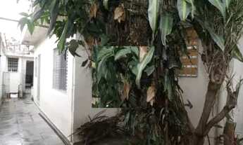 Imagem 7: Sobrado 3 dormitórios , 4 vagas