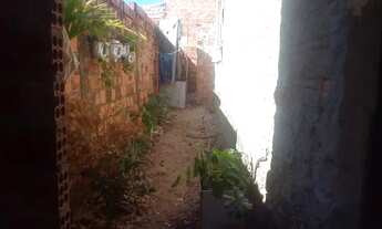 Imagem 5: Vende se uma casa na zona leste.na Árvores verdes próximo a caixa d'água