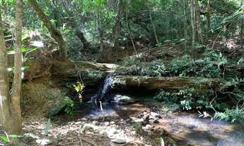 Imagem 6: Sitio 1.000m², nascente de agua nos fundos, pomar já produzindo, Serra do Cipó