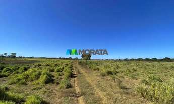 Imagem: FAZENDA À VENDA - 264 HECTARES - MONJOLOS