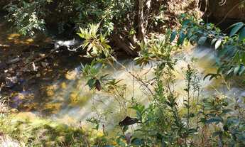 Imagem: Vendo ótima chácara no núcleo rural quintas