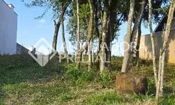 Imagem 2: Terreno à venda no Jardim Do Alto, Ivoti