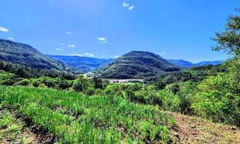 Imagem: Sítio / Chácara para Venda em Nova Petrópolis