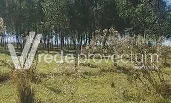 Imagem 6: Terreno - Bonfim - Paulínia