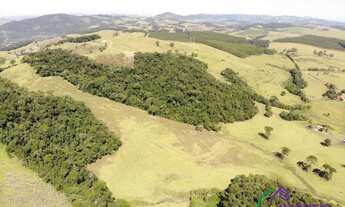 Imagem 3: SÍTIO - CENTRO - SP