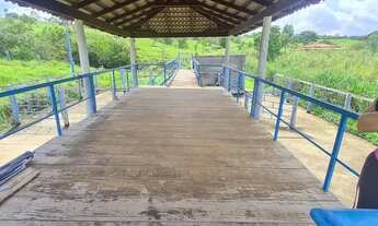 Imagem 5: Fazenda municipio de alexania Centro - Alexânia - GO