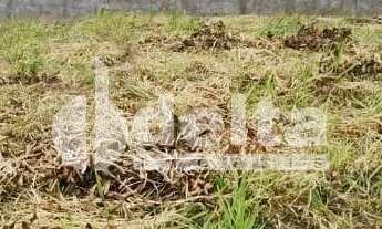 Imagem 3: Terreno de esquina disponível para venda 432 m² no bairro Jardim Inconfidência em Uberlând