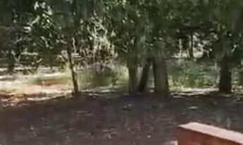 Imagem 2: OPORTUNIDADE VENDO Excelente lote, plano, 1730mts quadrados Lote à Venda, 1730.00 por R$ 4