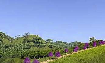 Imagem 4: Oportunidade! Lotes exclusivos no Vila Maltês em Mar Vermelho/AL. A partir de 900m2