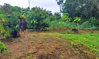 Imagem 5: Terreno Terreno / lote com venda por R$9.100