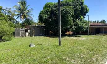 Imagem 6: Sitio em área urbana no Marcos Freire III