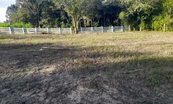 Imagem: Chácara em Mandirituba