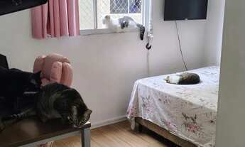 Imagem 3: Apartamento com 2 Quarto(s) e 1 banheiro(s) para Alugar, 40 m² por R$ 1200 / Mês