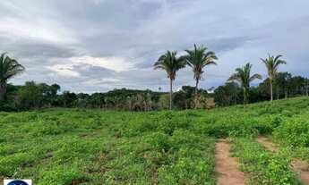 Imagem 2: Fazenda à Venda em Piranhas (GO) 79 Alqueires