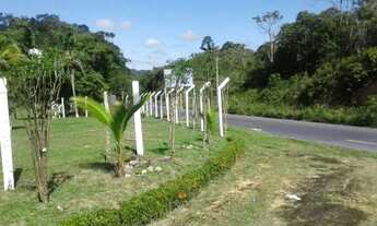 Imagem: Terreno na pista da AM-010, Km 51 com 1.000.000m2