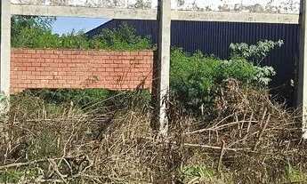 Imagem 5: Terreno BR 277 frente Coca Cola