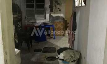 Imagem 4: Jardim Botânico