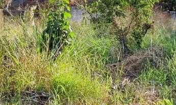 Imagem 6: Lote 460m² no Jardim Petrópolis - Goiânia