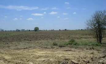 Imagem 4: ÁREA 31.000 M² ESTRADA DO CERAMISTA ARAÇÁ