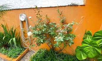 Imagem 5: Casa Ampla com Piscina, Área Gourmet e Edícula 330 m²