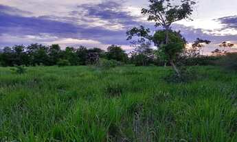 Imagem 7: Fazenda 109 hectares 80 km de Cuiabá/Livramento
