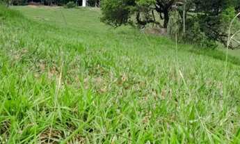 Imagem: Invista Bem Terreno no Recanto Ipê com