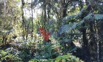 Imagem 6: Chácara com 3 dormitórios à venda,5000.00 m , Recreio da Serra, PIRAQUARA - PR