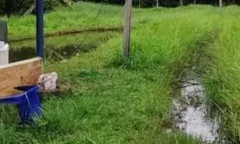 Imagem 6: Chácara em Bela Vista de Goiás