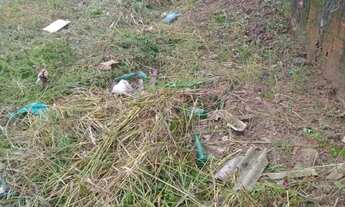 Imagem 5: Vendo dos lotes altos do Jaguarema