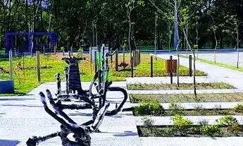 Imagem 4: Terreno em Florianópolis