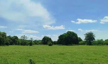 Imagem 4: Terreno em Ibiúna com doc regular e vista aberta