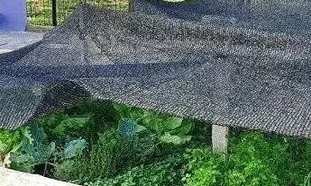 Imagem 6: Terreno em Florianópolis