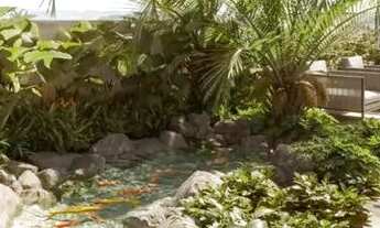 Imagem 4: Emirates Parque Flamboyant