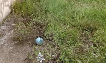 Imagem 6: Lote 147 M2 Terreno / lote com venda por R$210.000