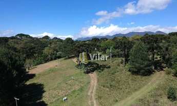 Imagem 4: Chácara com 2 dormitórios à venda, 30219 m² por R$ 1.500.000 - Colônia Santa Maria - Piraq