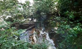 Imagem 2: Linda área de 50 alqueires no centro