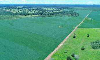 Imagem 4: Fazenda - Peixe (TO