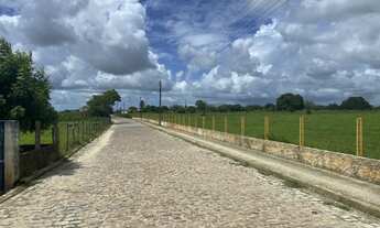 Imagem 4: Fazenda com 20,0 hectares, em Comum, distrito de Monte Alegre/RN